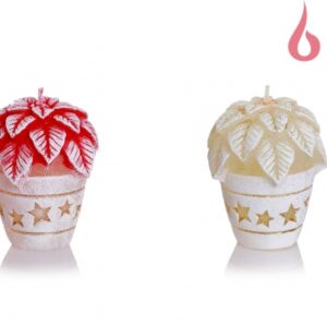 Jõulutäht 70 95g