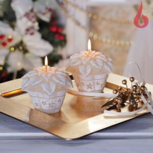 Jõulutäht 255g, 40h