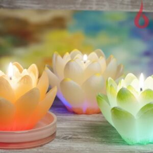 Diood Liilia roheline,kollane, valge,roosa, lilla 350 g 17h