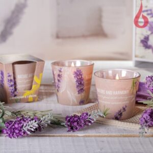 Klaasis küünal Loodus ja harmoonia 115g 30h